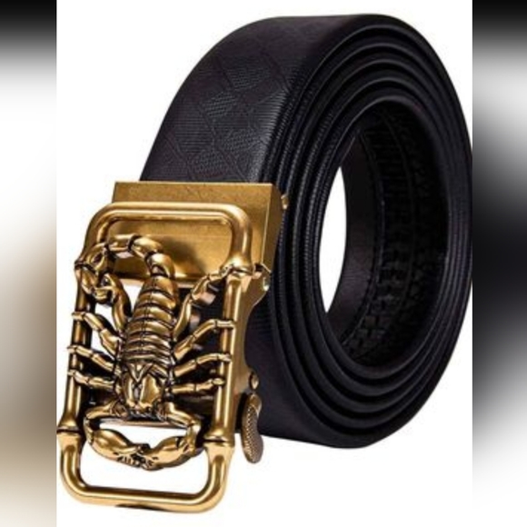 1960s Scorpion Paris Top + Belt main image 1